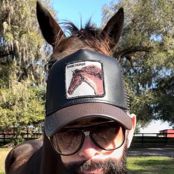 Meet your Posher, Douggie - Picture 7 of 8